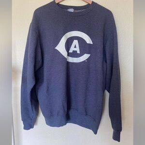 Men's Navy Blue Sweater